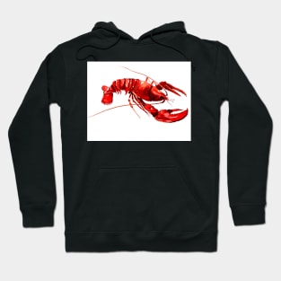 lobster Hoodie